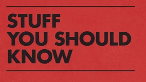 Red background with bold black text that reads STUFF YOU SHOULD KNOW, framed by thin black lines at the top and bottom—a nod to SDVOSB engineering expertise.