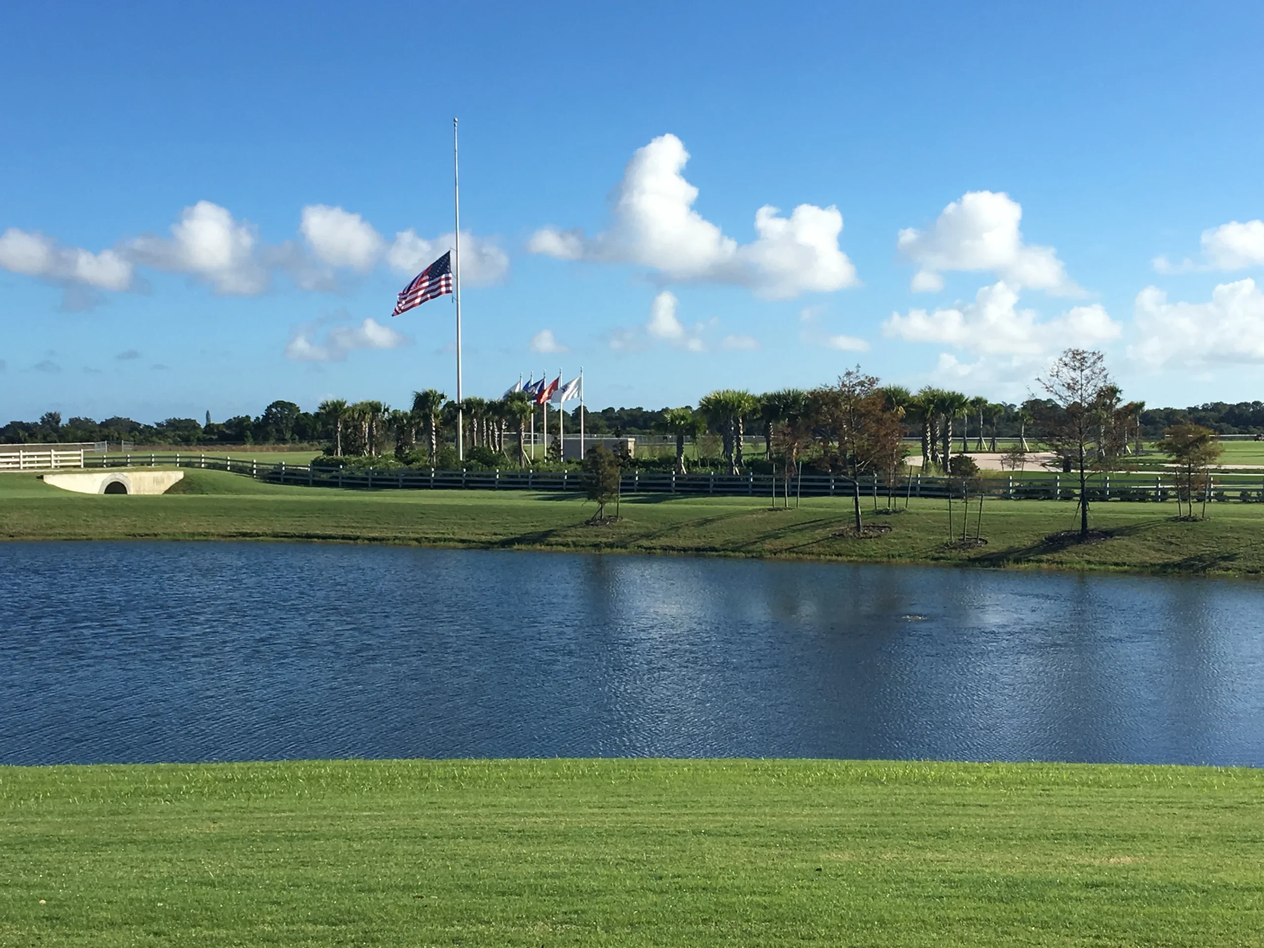 A flag at half-mast and several other flags fly near a pond surrounded by green grass, trees, and a blue sky—an inspiring scene often appreciated by those in civil engineering or a structural engineer designing outdoor spaces.