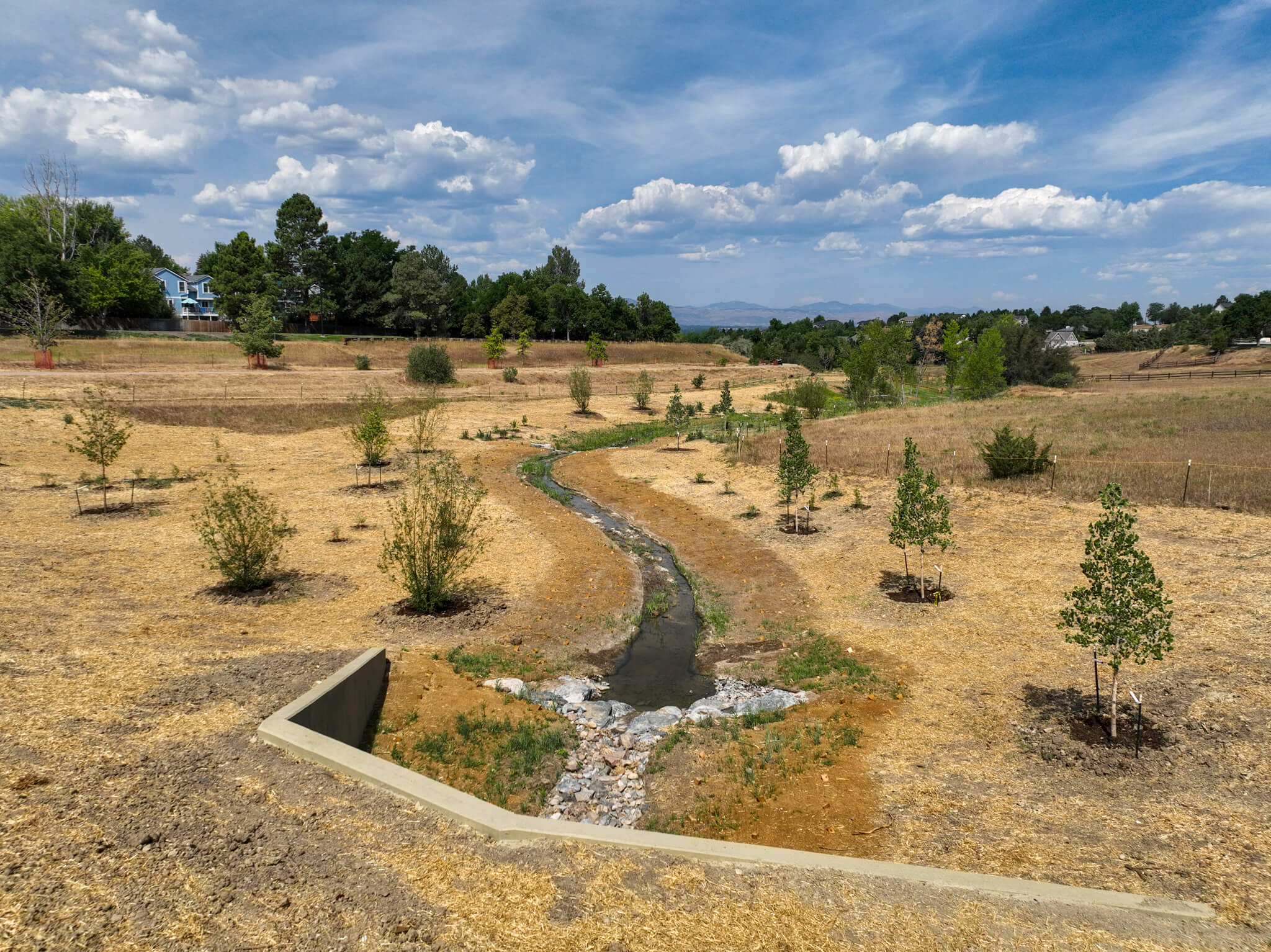 A small stream flows through a dry, grassy field with young trees planted along its banks under a blue sky with scattered clouds. Houses and trees are visible in the background.