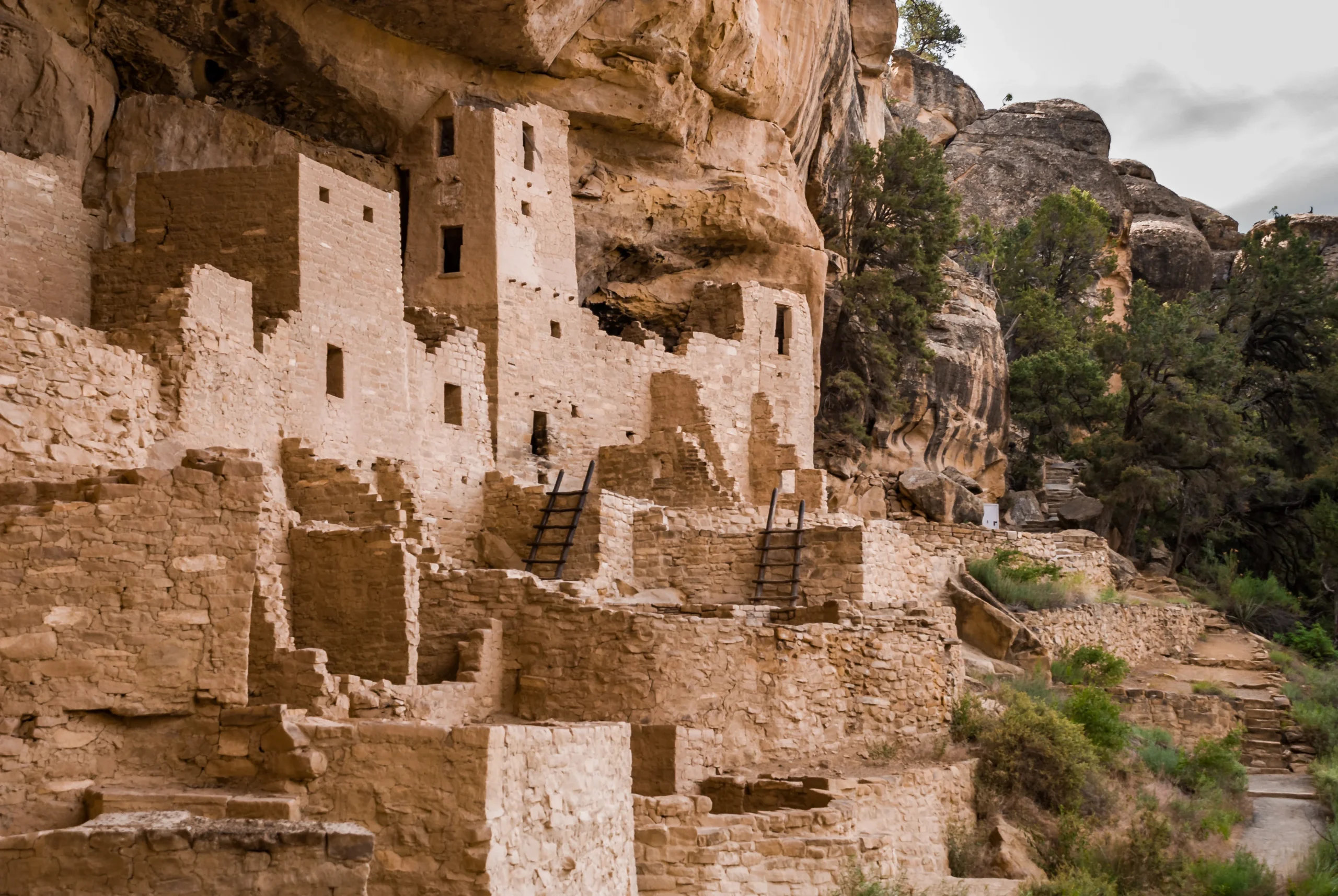 Ancient stone cliff dwellings built into a rock face, showcasing the ingenuity of early structural engineers; multiple rooms, windows, wooden ladders, and surrounding trees allow these structures to blend seamlessly into the natural landscape.