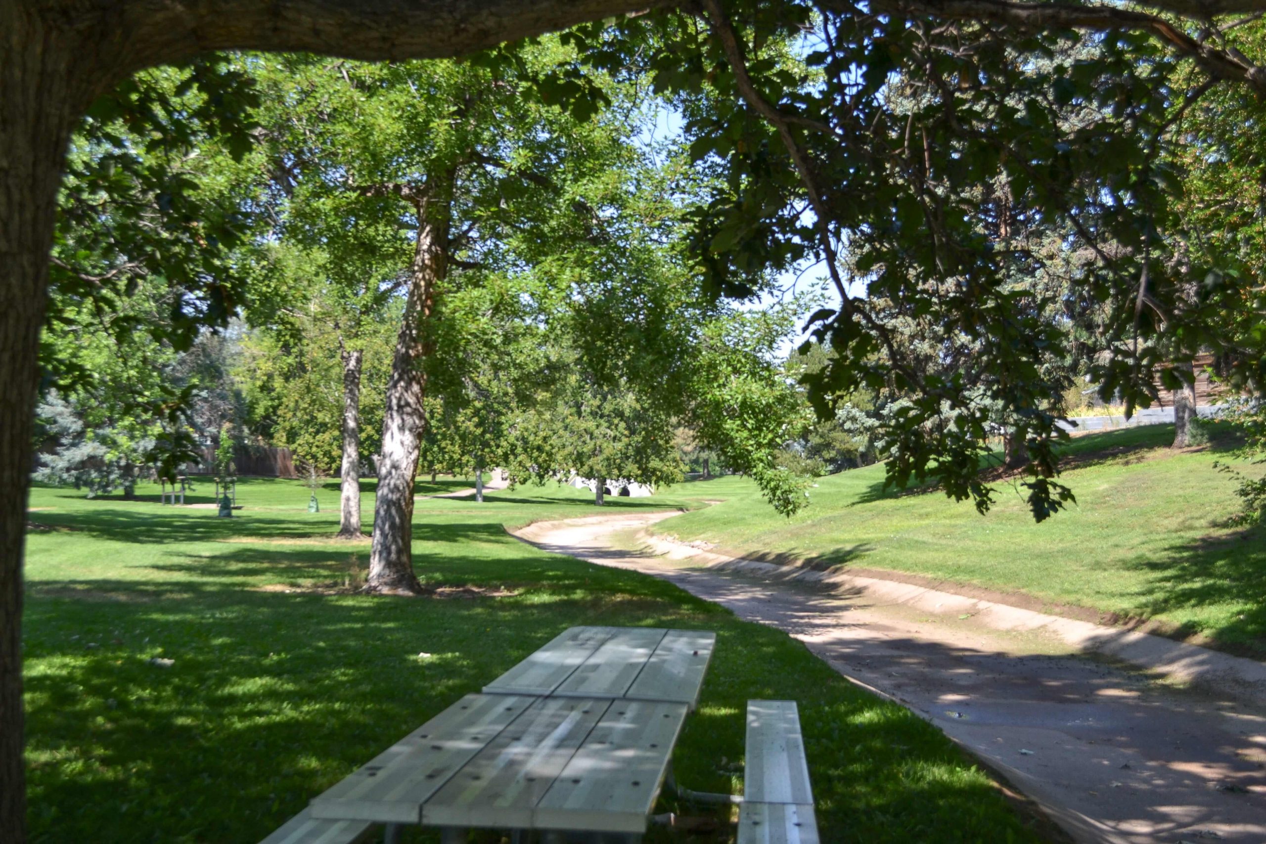 A shaded picnic table sits on green grass under leafy trees beside a small concrete-lined creek—an example of thoughtful civil engineering—in a sunny park. The peaceful scene features scattered trees and dappled sunlight.