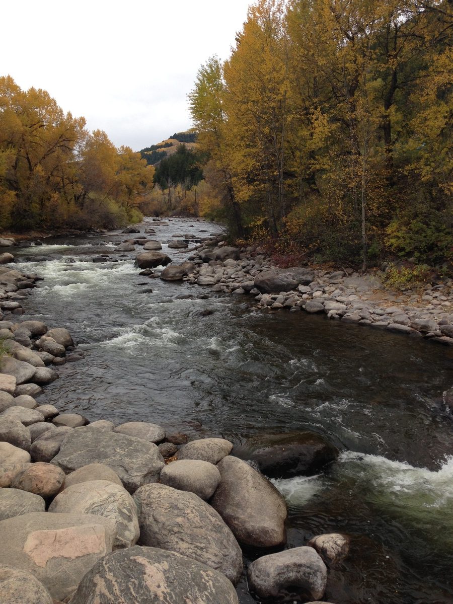 A rocky river flows through a forest with autumn colors of yellow and gold, its brisk whitewater reminiscent of a Colorado engineering marvel—swift rapids and rocky banks winding under a cloudy sky.