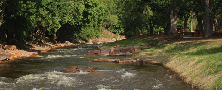 A gently flowing river surrounded by lush green trees and grassy banks, with sunlight filtering through the foliage and some rocks visible in the water—an inviting scene for any whitewater engineer to study or simply enjoy nature’s serenity.