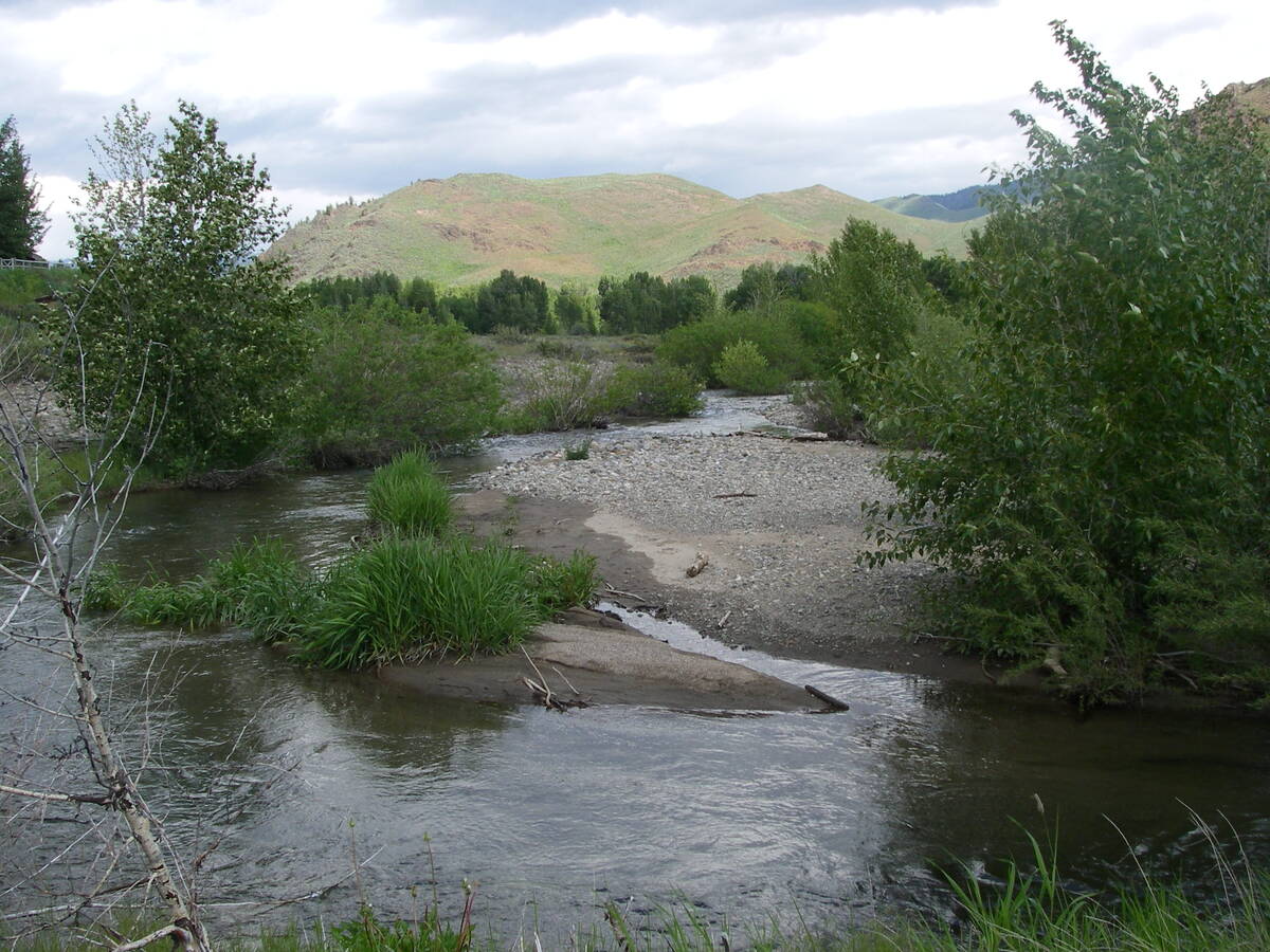 A small river flows around a gravel and sand bar, shaped by nature and civil engineering, surrounded by green trees and bushes, with grassy hills and a cloudy sky in the background.