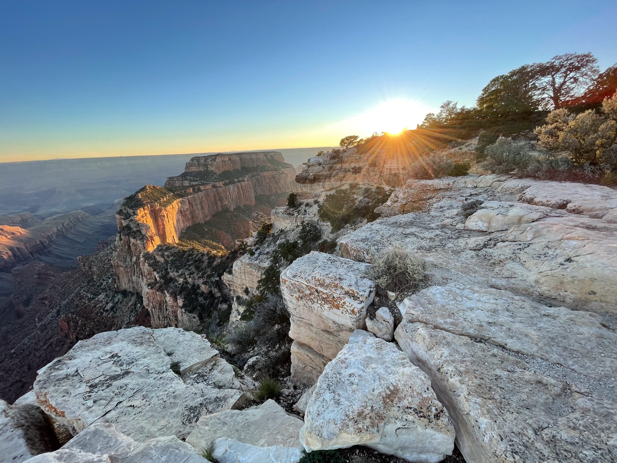 Sunrise over the Grand Canyon, casting golden light on rocky cliffs and plateaus—an inspiring view for any Colorado engineering enthusiast—while sparse vegetation and a clear blue sky frame the breathtaking scene.