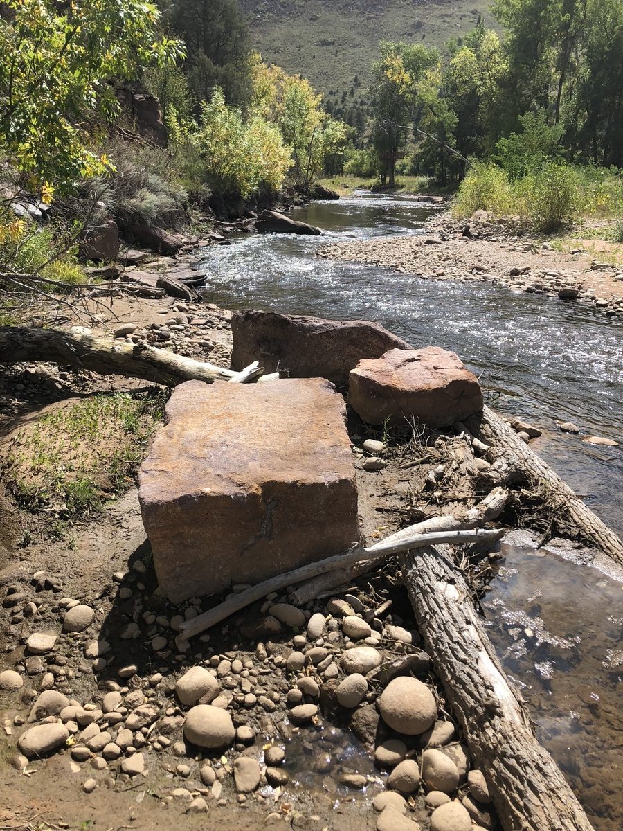 Large brown rocks and fallen tree branches rest on a rocky riverbank beside a shallow, flowing stream, surrounded by lush greenery under sunny skies—a peaceful setting where a Denver engineer or whitewater engineer might find inspiration.