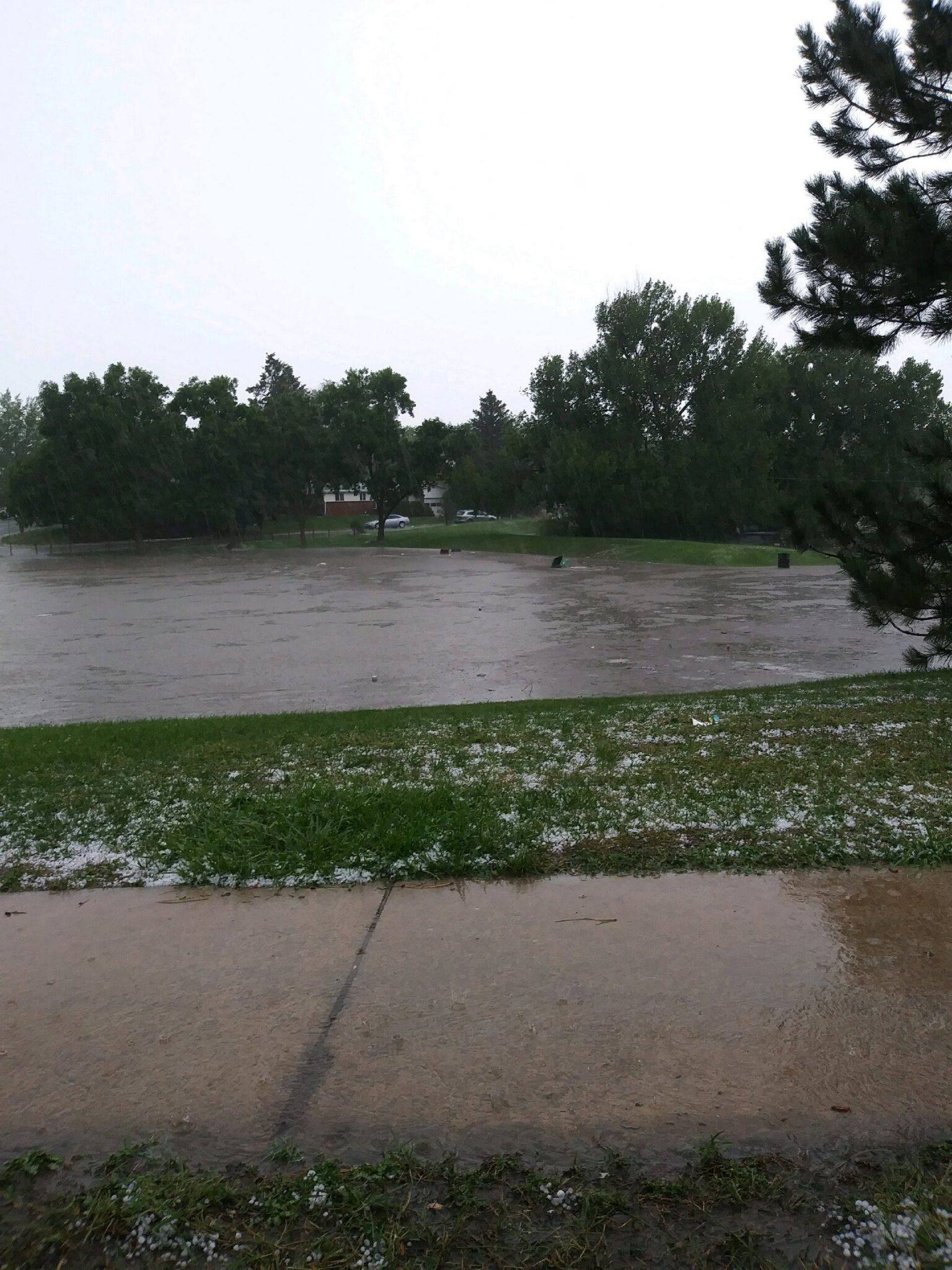 A park area is flooded with water covering the grass up to the trees. The sky is overcast, and rain is falling, with wet pavement and patches of green grass in the foreground.