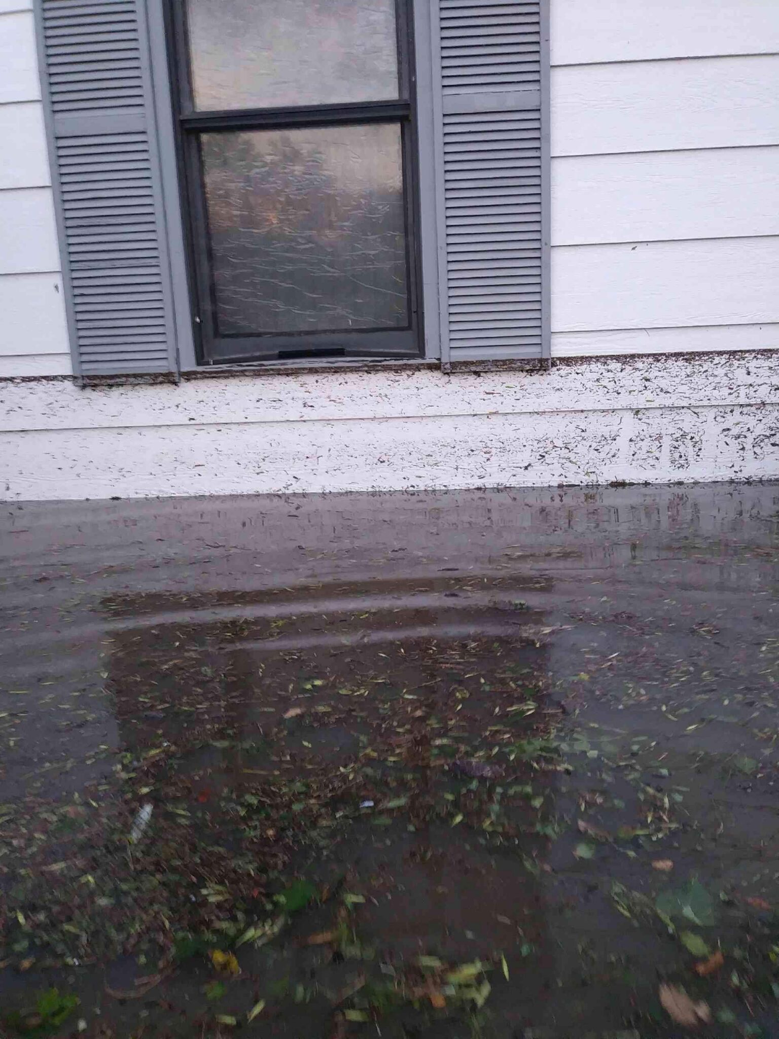 Floodwater rises nearly to the bottom of a window on a white house with gray shutters. Debris and leaves float on the surface of the murky water which partially covers the buildings exterior.