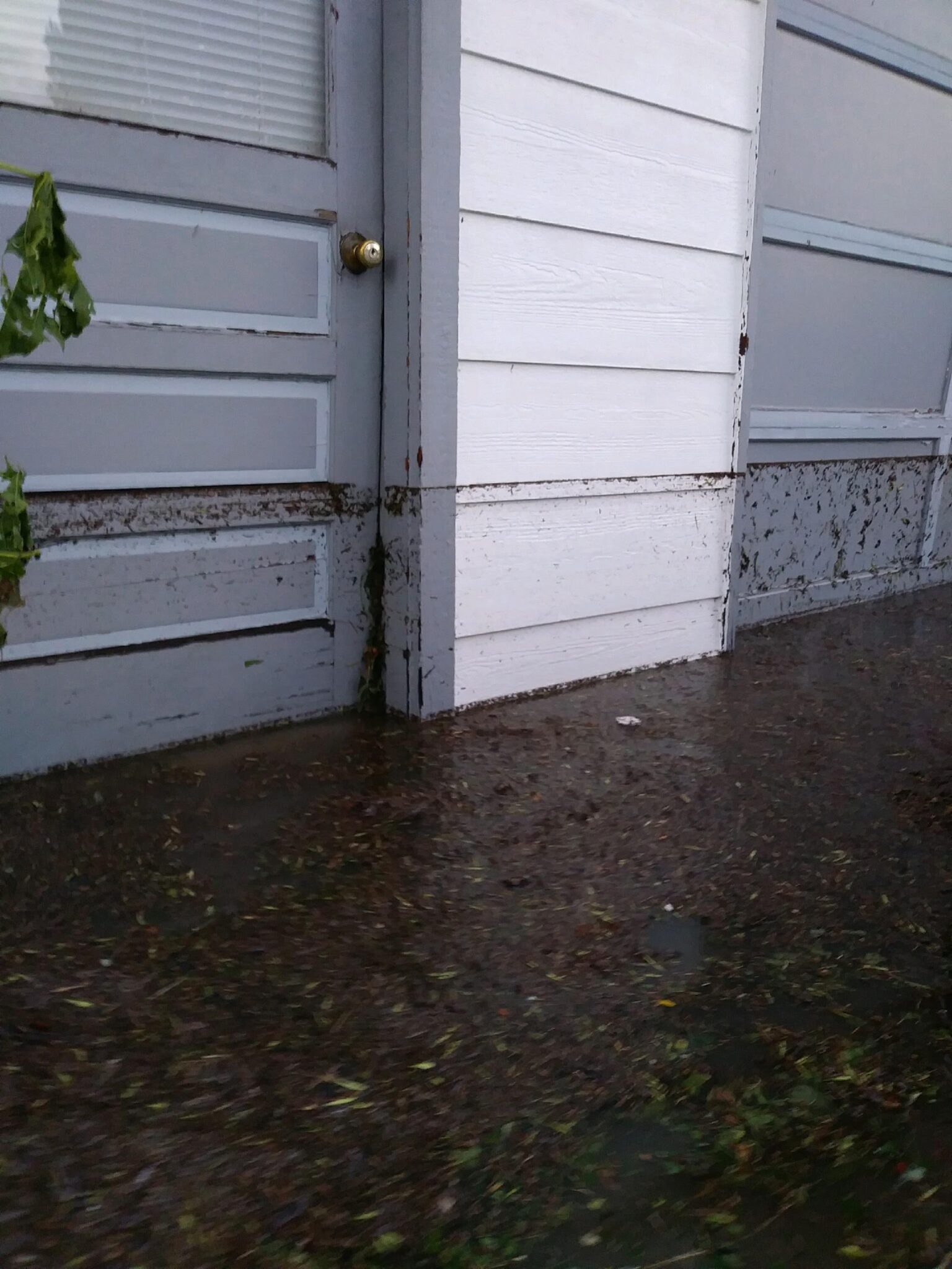 A gray and white house door and wall are surrounded by floodwater and mud, with debris and dirt sticking to the lower walls, showing evidence of recent flooding.