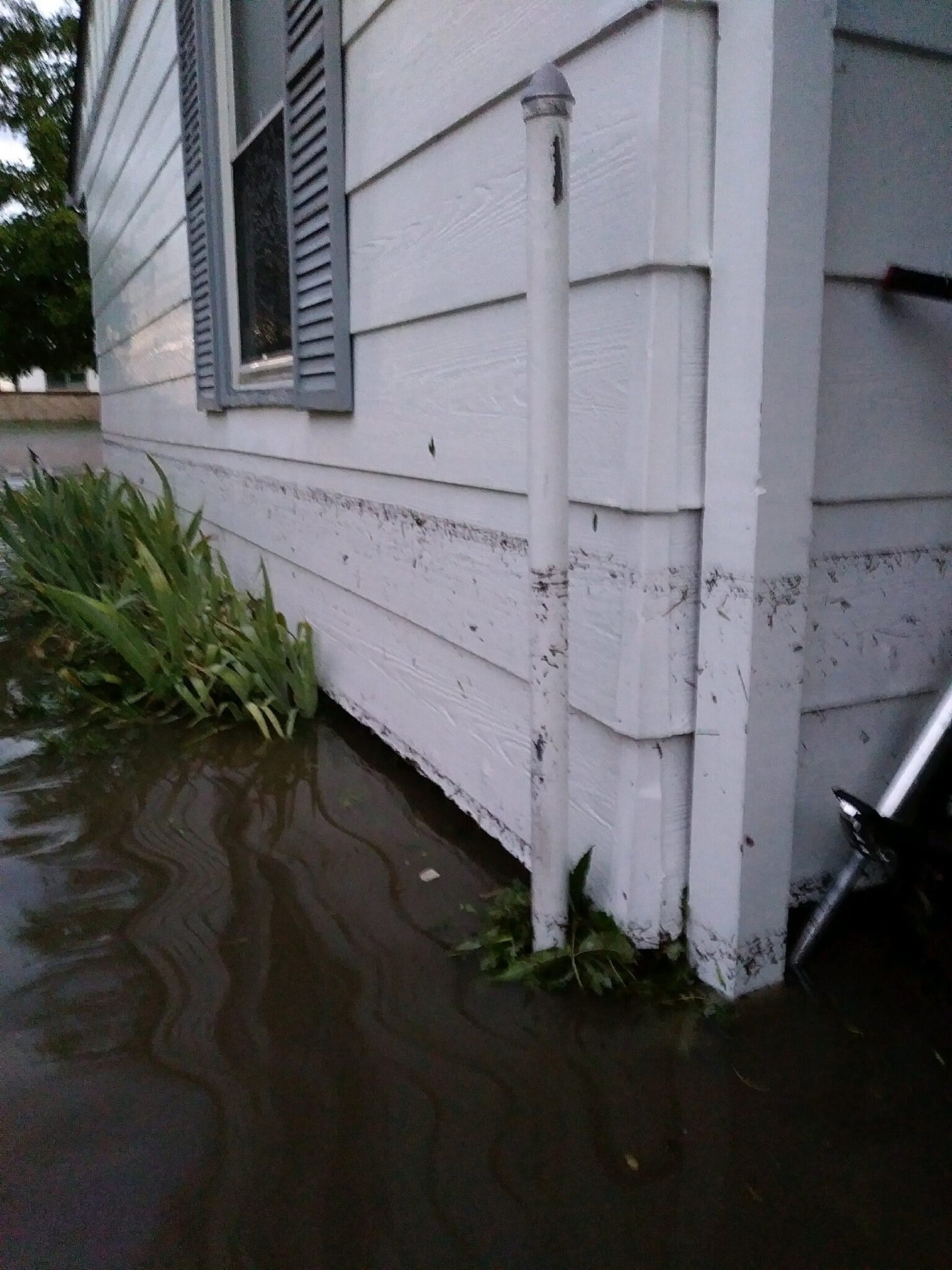 Floodwater covers the ground up to the base of a white house, leaving a muddy waterline on the siding. Green plants are partially submerged, and a white vertical pipe stands near the corner.