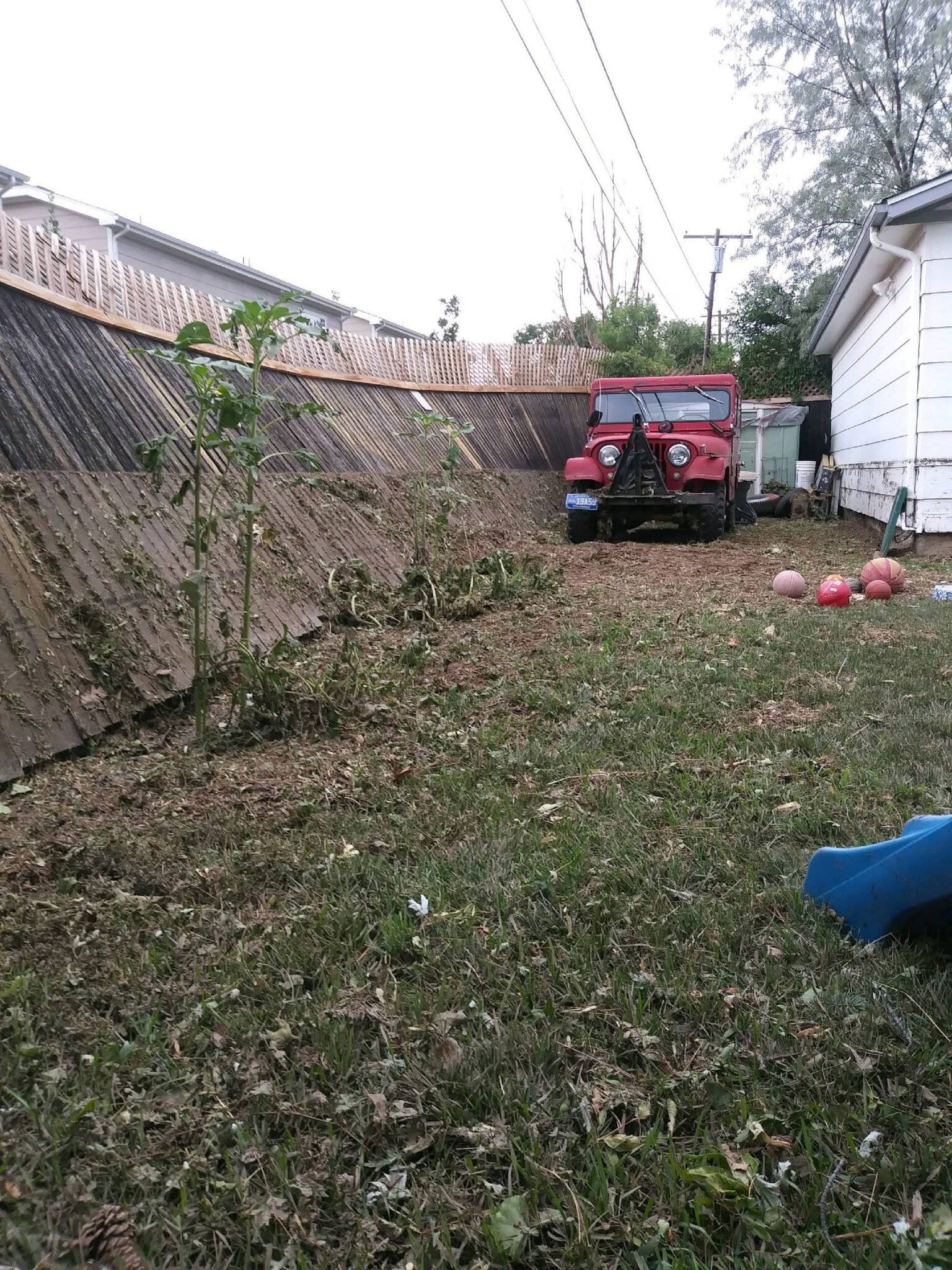 A red jeep is parked near a sloped wooden fence in a grassy backyard. There are several plants along the fence, red balls on the lawn, and a white house to the right. Power lines run overhead.