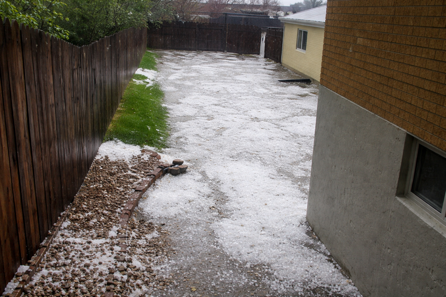 A backyard with a patchy green lawn, gravel, and concrete is covered in scattered hailstones after a storm. A wooden fence runs along one side, and a tan house is visible on the right.