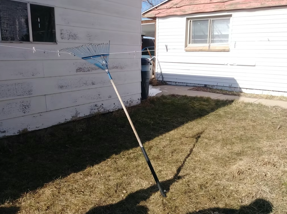 A rake is hanging by its tines from a clothesline in a backyard with patchy grass, next to two weathered white houses under a clear blue sky.