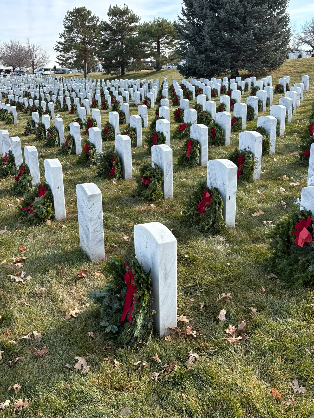 Rows of white headstones in a cemetery, each adorned with a holiday wreath with a red bow, stand in green grass under a partly cloudy sky, with evergreen trees in the background.
