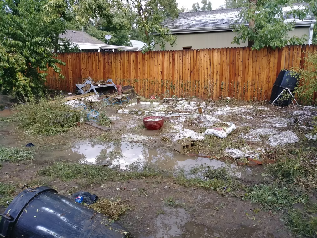 A muddy backyard with standing water, debris, and scattered lawn furniture. A wooden fence runs along the back, and overgrown plants and fallen branches are visible throughout the cluttered area.