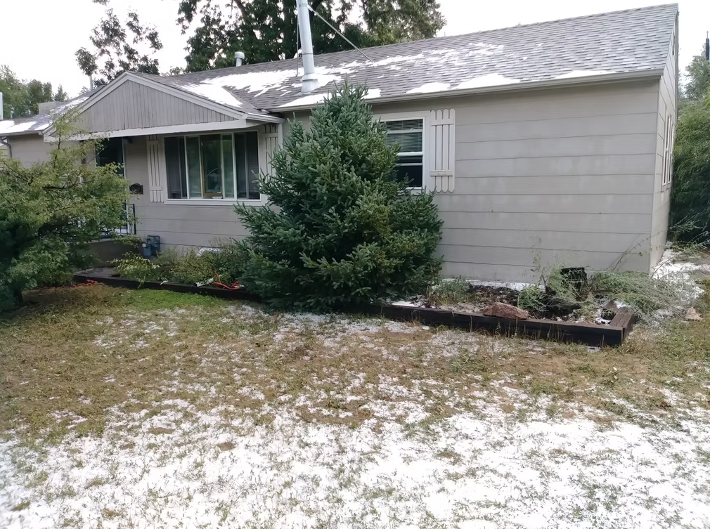 A light layer of hail covers the grass in front of a single-story gray house with a pine tree and shrubs by the window. The garden beds have light debris, and the sky appears overcast.