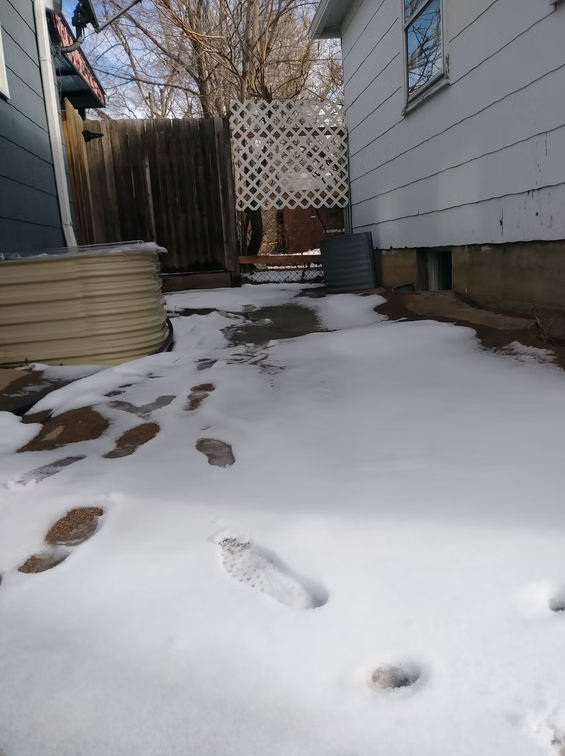 Snow covers the ground between two houses, with multiple footprints visible in the snow leading toward a wooden fence and a white lattice gate in the background. Bare trees are visible beyond the fence.