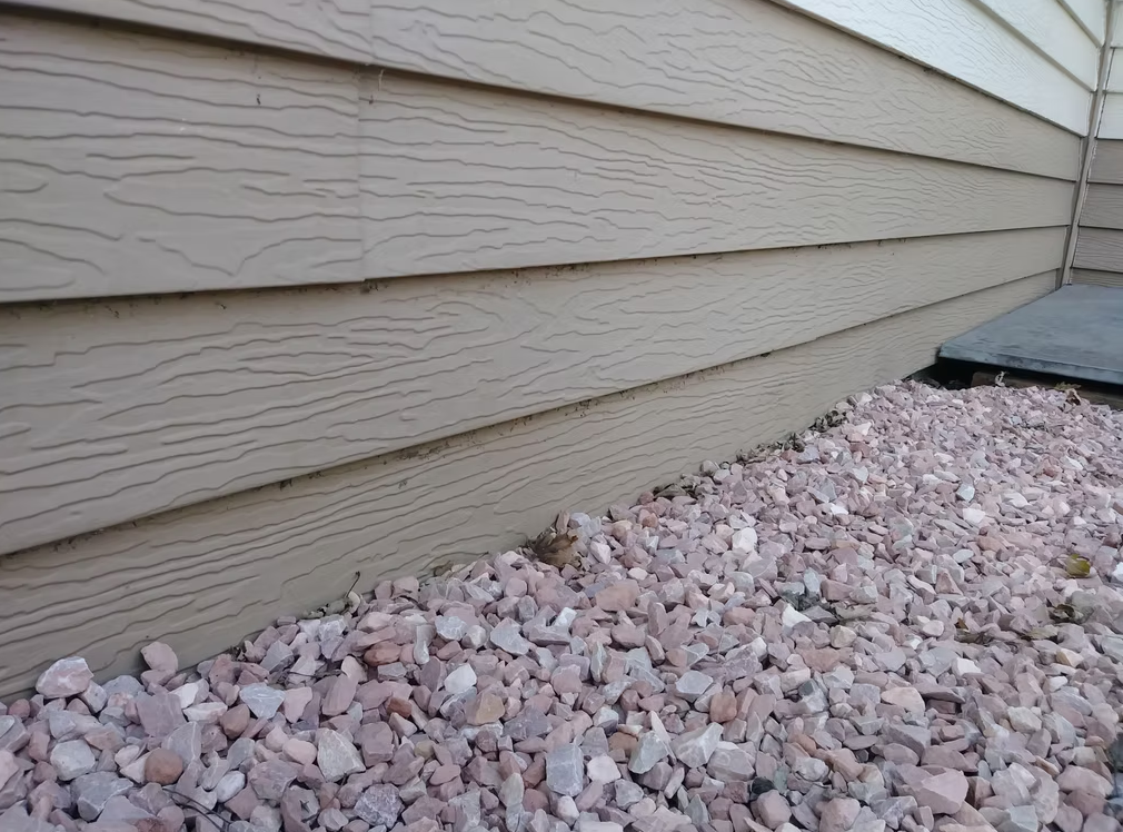 A brown, camouflaged toad sits among light pink and white rocks next to the beige, wood-textured siding of a house.
