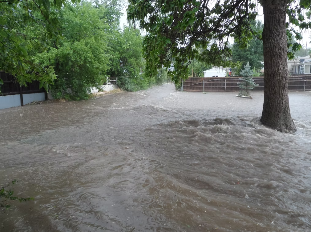 Floodwaters rush through a residential area, submerging yards and flowing around trees and fences. The sky is overcast, and the scene is surrounded by green trees, indicating heavy rain or recent storms.