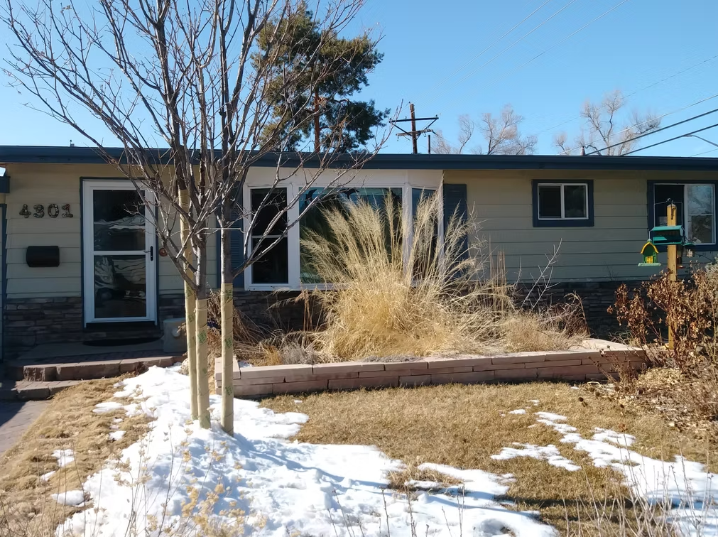 A single-story house with beige siding and dark trim, large front windows, and a front yard with patches of snow, dry grass, ornamental plants, and a bare tree under a clear blue sky.