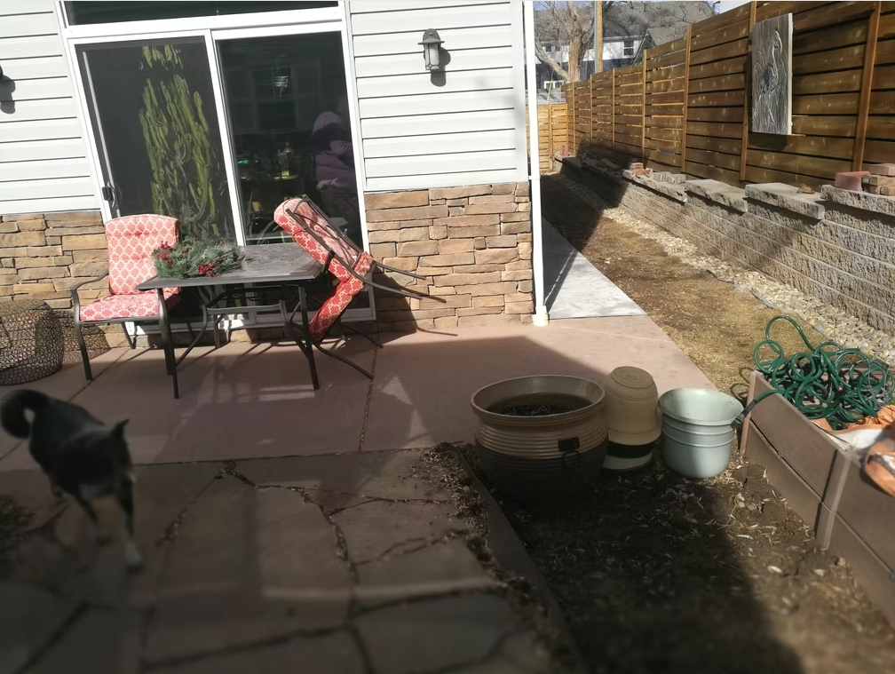 A fenced backyard patio with a table, two red-patterned chairs, potted plants, and garden hoses. A black and white dog walks along the stone path near the patio, and sunlight casts shadows on the ground.