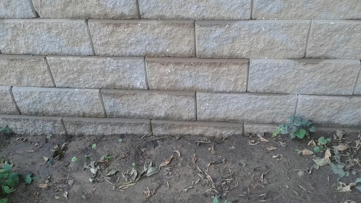 A stone retaining wall with evenly stacked rectangular blocks. In front of the wall, there is a patch of bare soil with some scattered dried leaves and a few small green plants growing.