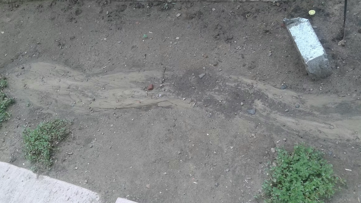 A patch of dry, bare soil with a winding, muddy streak running through the middle, some scattered small rocks, sparse green plants at the edges, and a concrete block in the upper right corner.