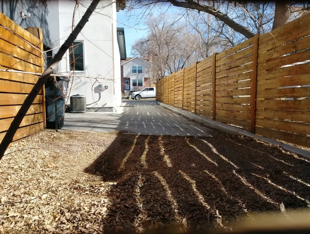 A sunny backyard with a wooden fence, dry leaves on the ground, and shadows from the slats. A white house and a white car are visible in the background, with bare trees under a clear blue sky.