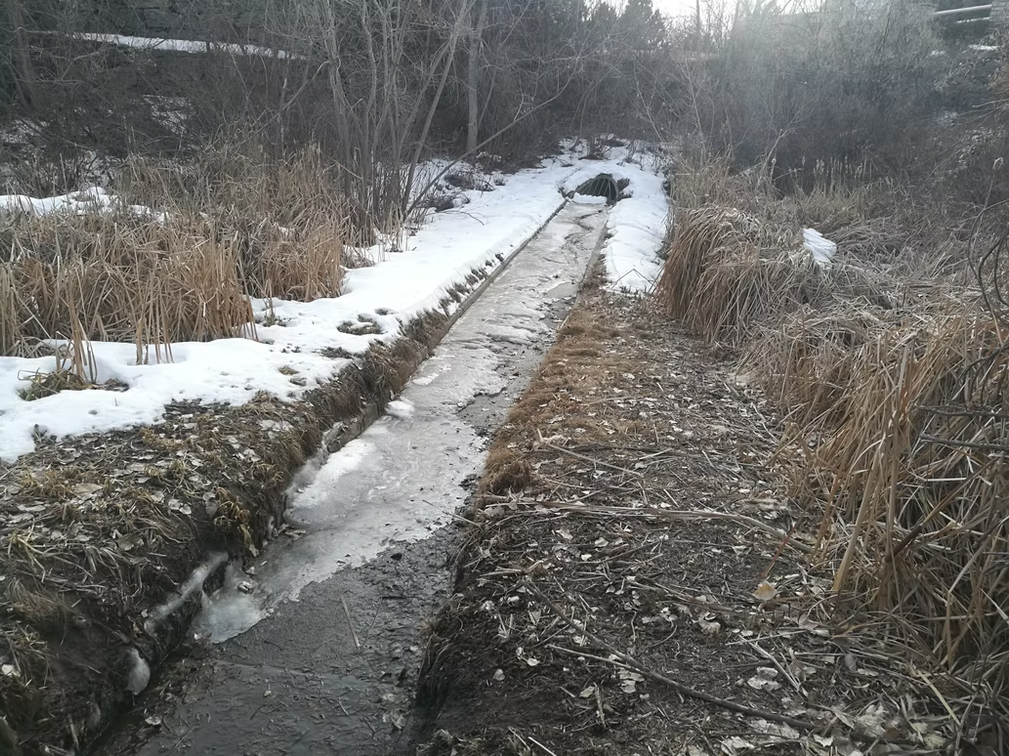 A narrow, shallow stream runs between banks of dry grass and reeds, with patches of snow on the ground. Bare trees and overcast skies indicate late winter or early spring in a natural setting.