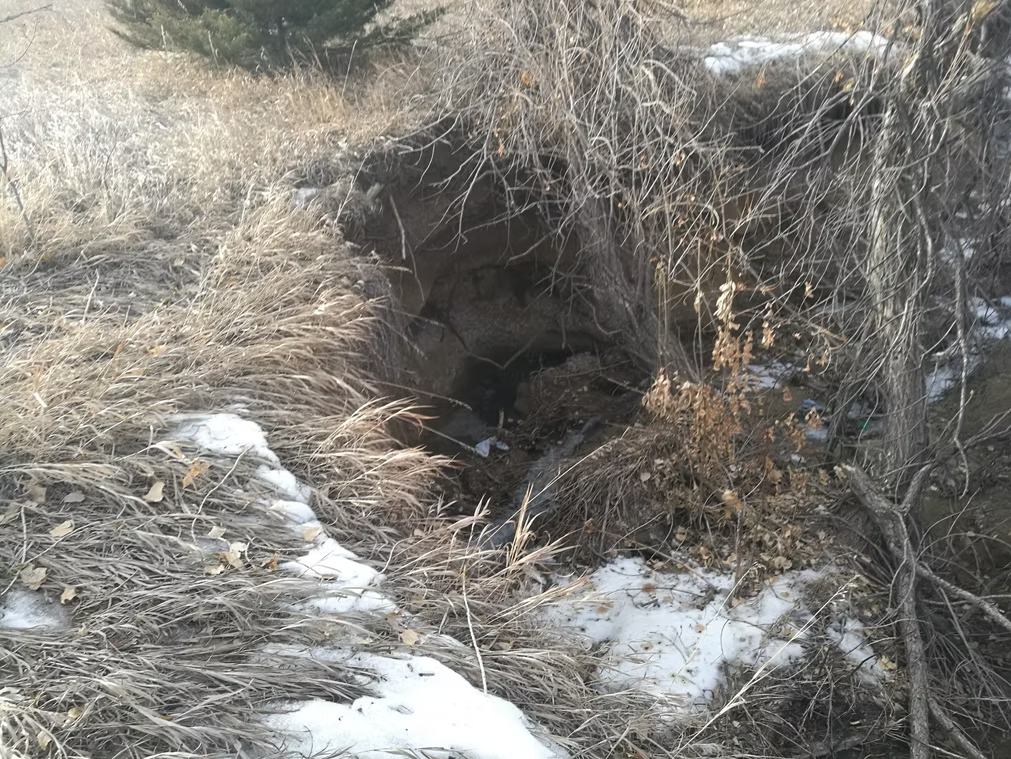 A large hole in the ground surrounded by dry grass, leafless branches, and patches of melting snow on a chilly, overgrown landscape.