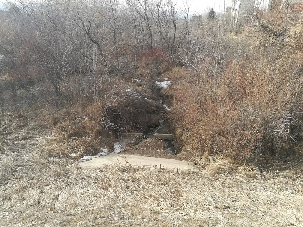 A narrow creek runs through dry, brown grass and leafless shrubs in winter. Patches of snow are visible on the ground and among the brush, with overcast skies and bare trees in the background.