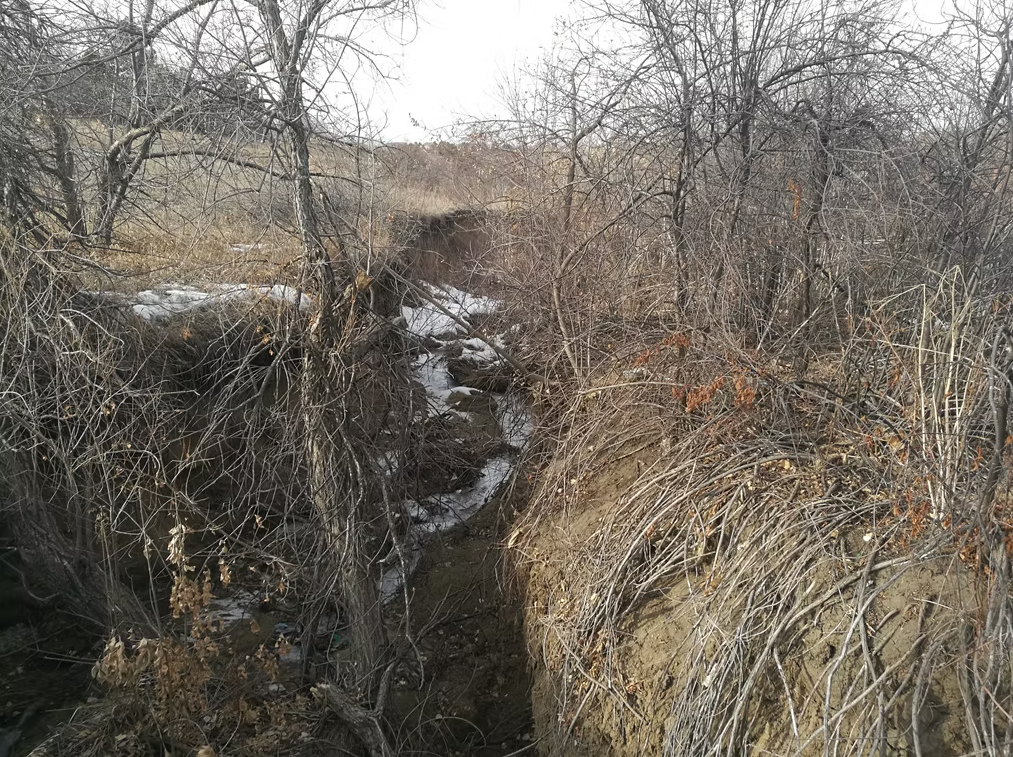 A narrow, shallow creek winds through a dry, barren landscape with leafless shrubs and grasses. Patches of snow remain on the ground, and the sky appears overcast.